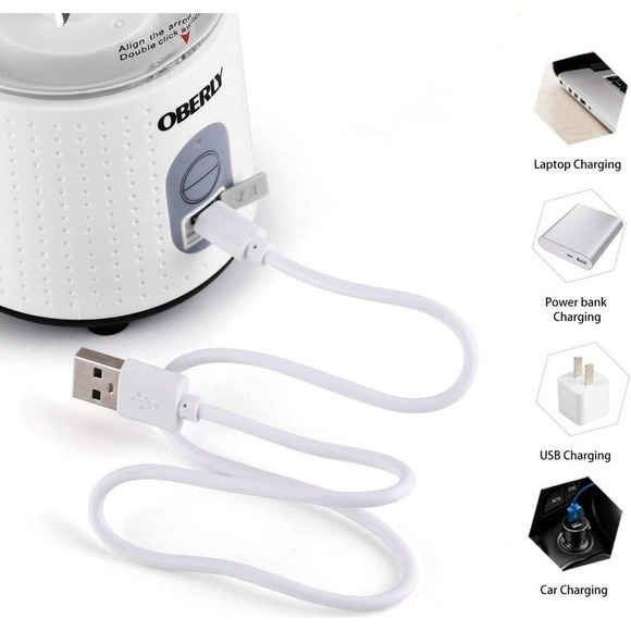 Blender for Shakes and Smoothies, Smoothie Personal Blender with 2000mAh USB - Picture 4 of 7